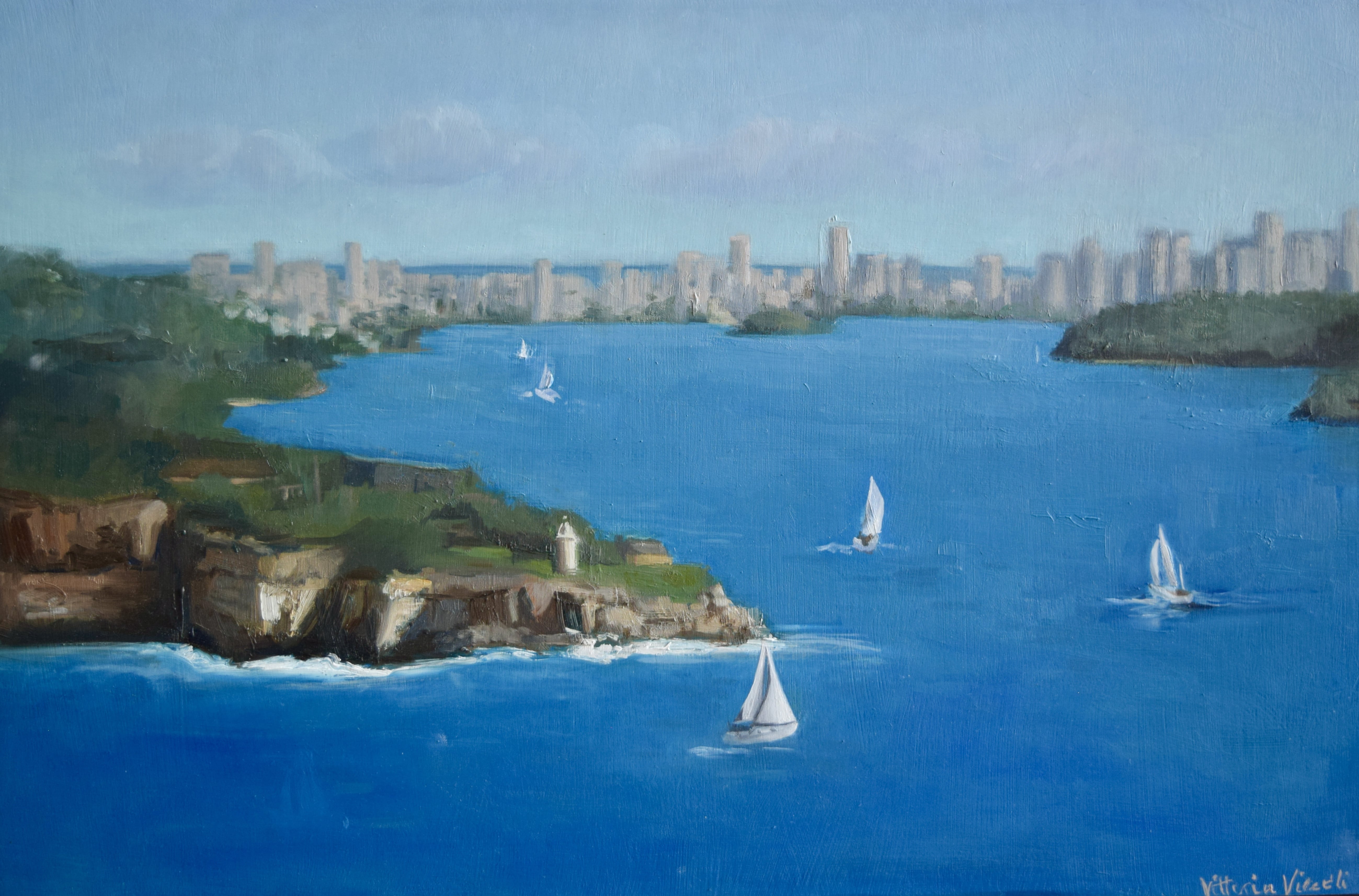 Sydney Harbour, Manly to Bondi